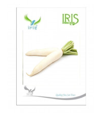 Iris Imported Radish 15 Seeds